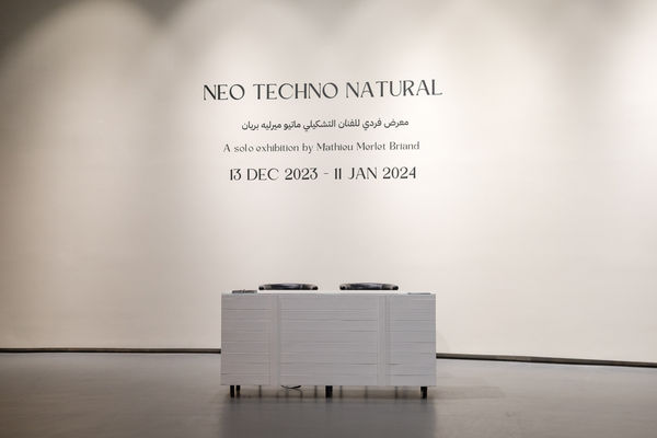 "NEO-TECHNO-NATURAL", Solo Show: Mathieu Merlet Briand, Exhibition View, Doha 2024