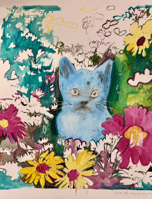 Blue cat in a garden
