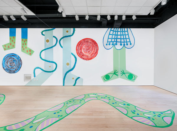 Installation view of On the Wall: Tamara Gonzales, 2021 in PCG's Reilly Gallery.