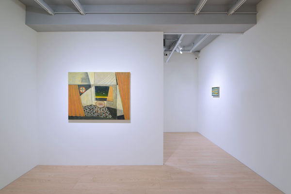 Hippocampal Overflow Installation Shots 15