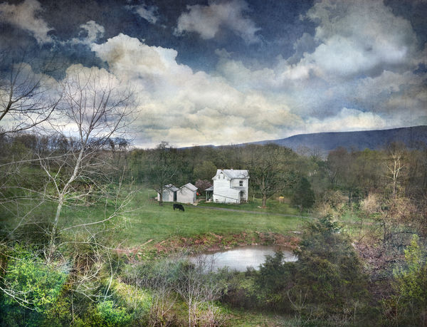 3North Feature ABBOT / DOUGLAS