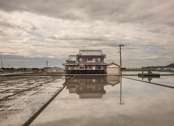 THE EIGHTY-EIGHT: William Wylie Photographs from a Japanese Pilgrimage