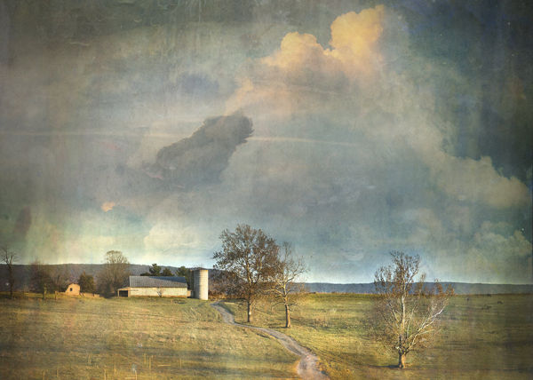 DAVID DOUGLAS NEW WORK