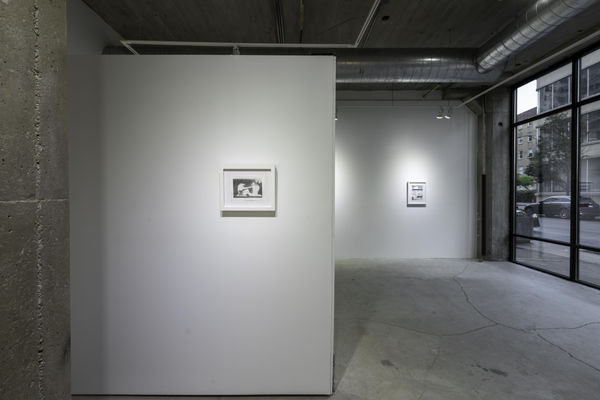 Birds Of No Feather 22