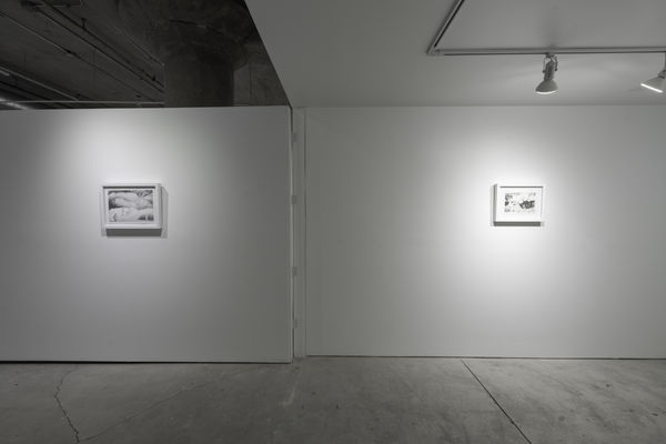 Birds Of No Feather 25