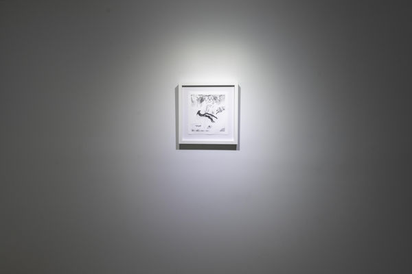 Birds Of No Feather 27