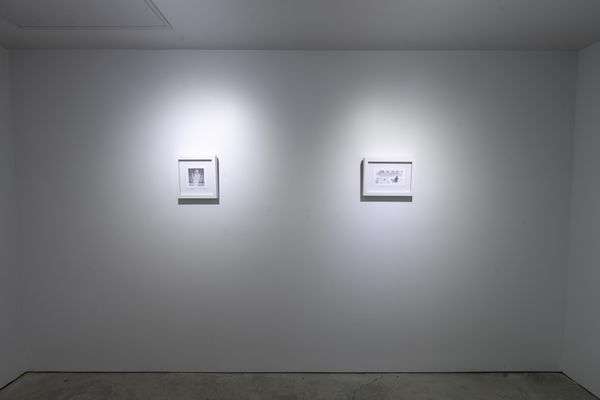 Birds Of No Feather 28