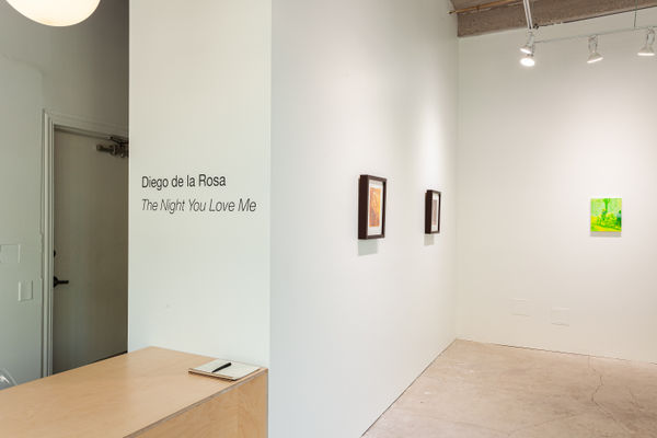 Povos Diego Show 0007 Img 0744