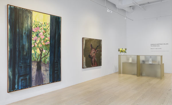 Enrique Martínez Celaya | The Wilderness