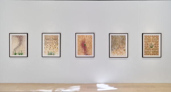 Ambreen Butt | Lay Bare My Arms