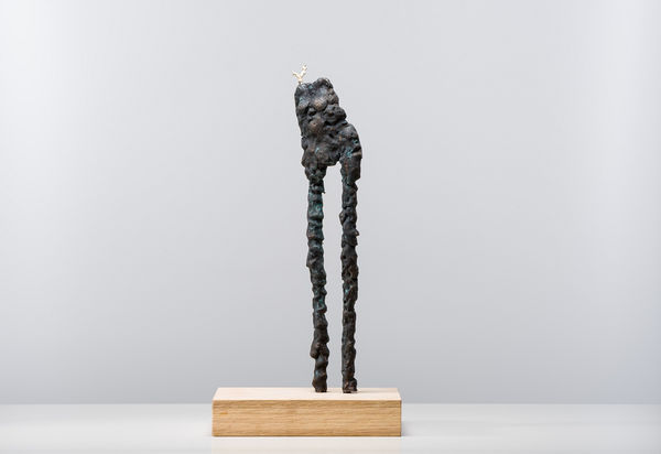 Helle Helsner, Cailleach, 2025