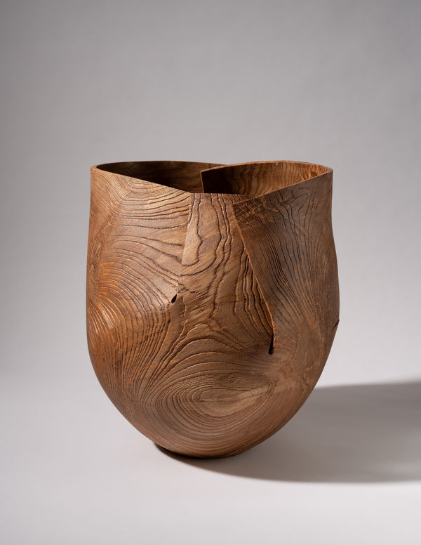 Alan Meredith, Fuinseog I, 2024