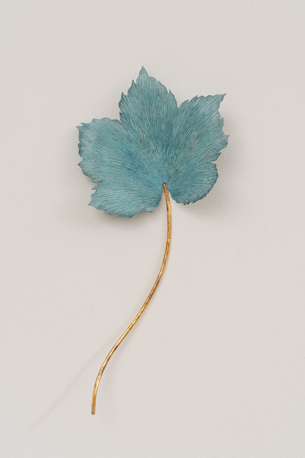 Jane Murtagh, Sycamore Leaf