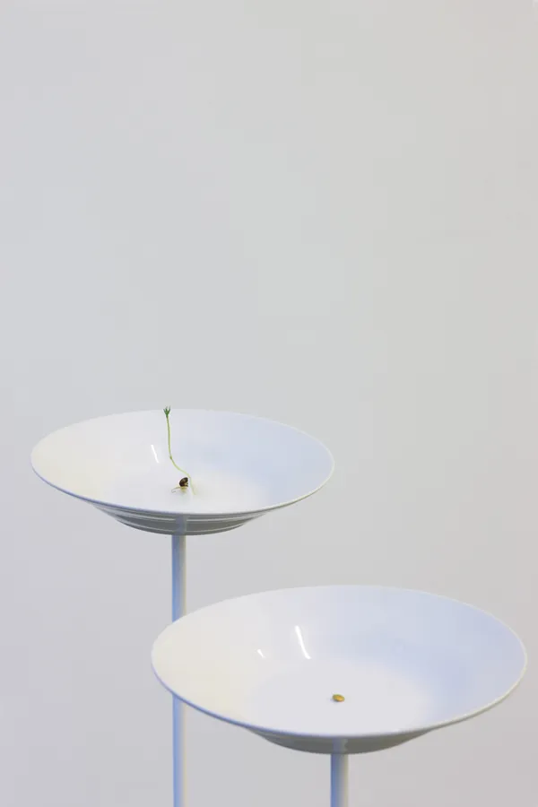 31 Contemplating An Old Memory Grown St Phanie Saad Marfa