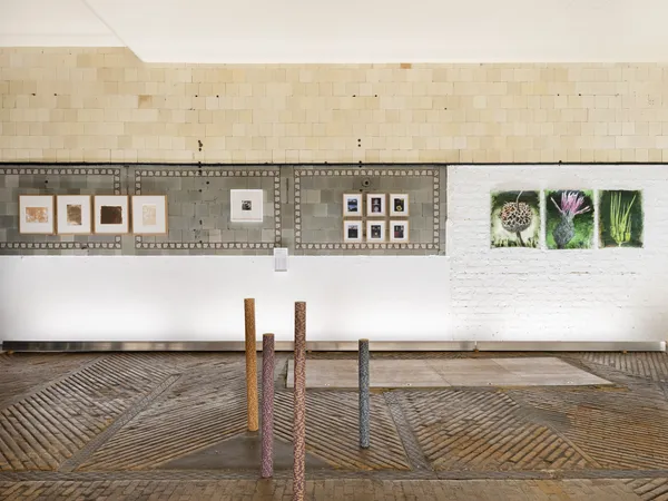 20250117 Rodeo 5 Dsf9833