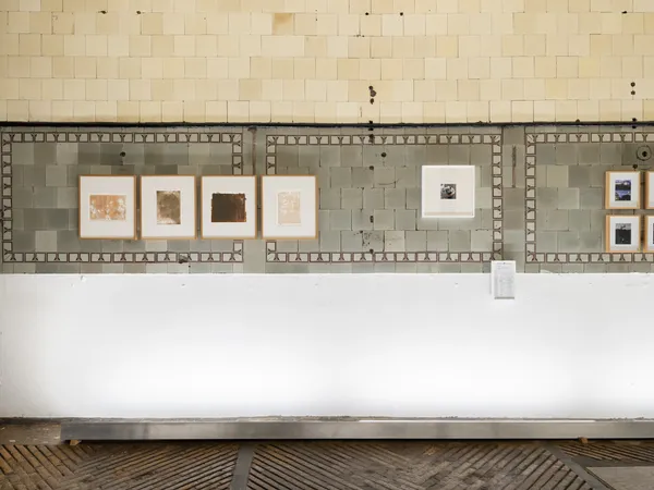 20250117 Rodeo 7 Dsf9836