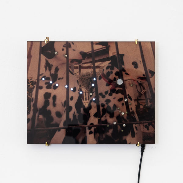 Screen Shot 2025 12 05 At 5 22 55 Pm