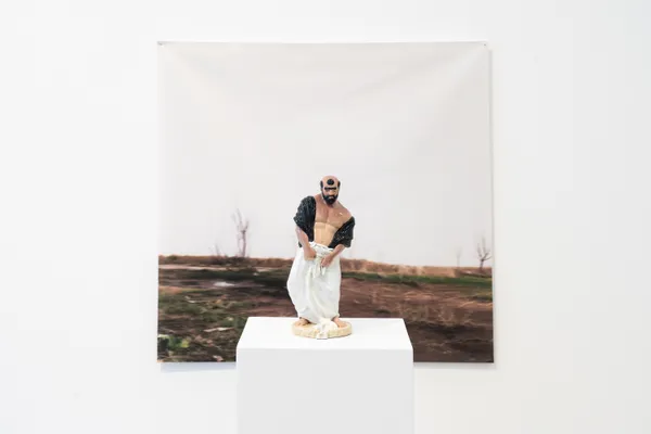 Mohamad Abdouni - Barren Seeds Past