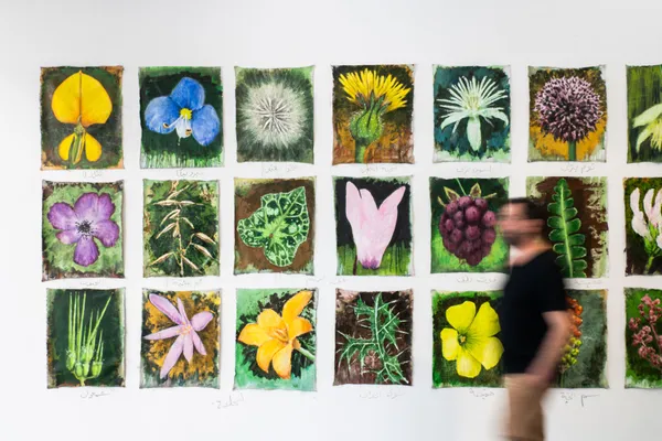 Omar Fakhoury - The Forest Past