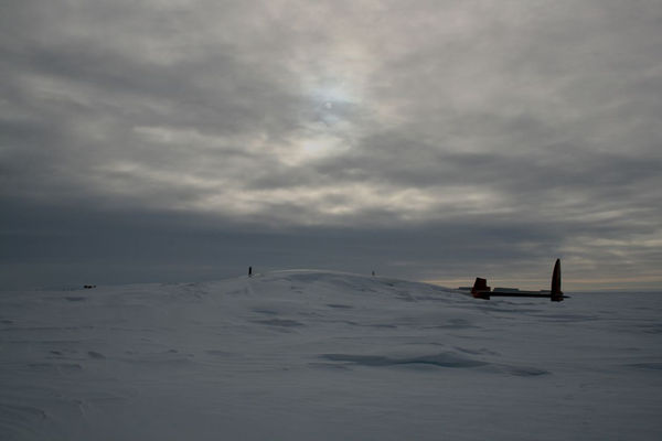 Sir Grahame Sydney, Pegasus, 2007