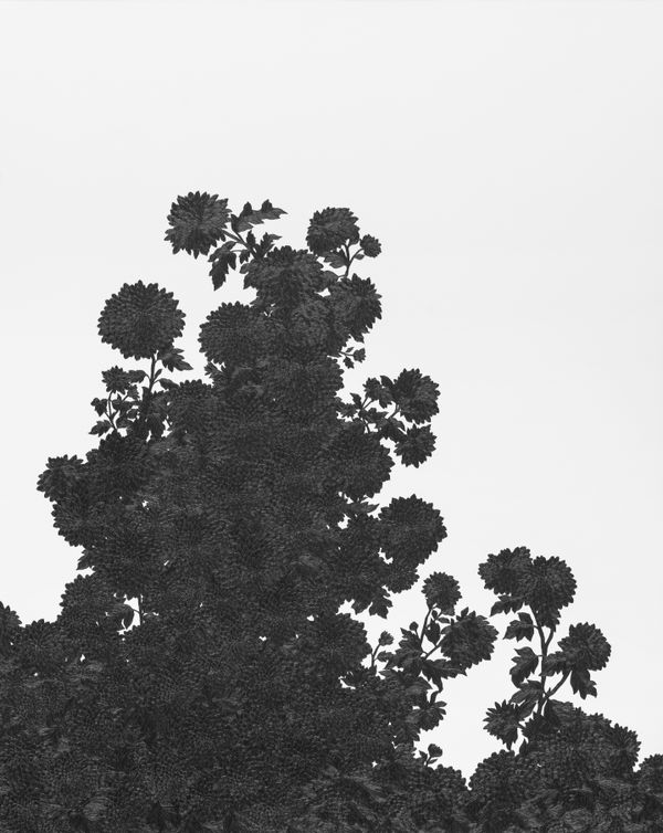 Eunju KIM Try to draw 그려보다 210430, 2021 Pencil on paper 100x80cm