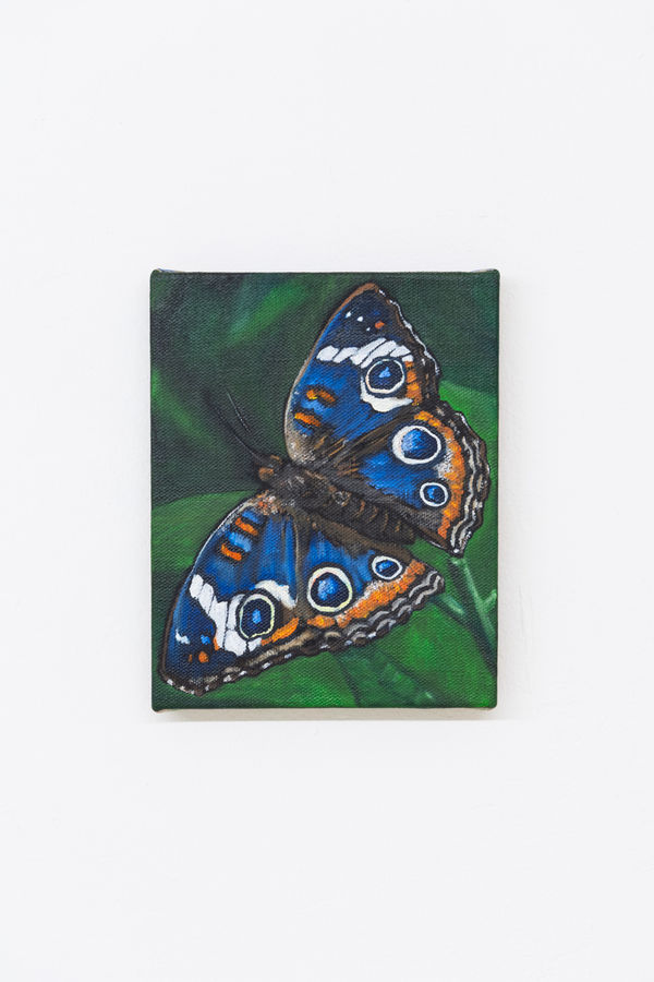 2023 Matteo Callegari Thomas Brambilla Installation View 6