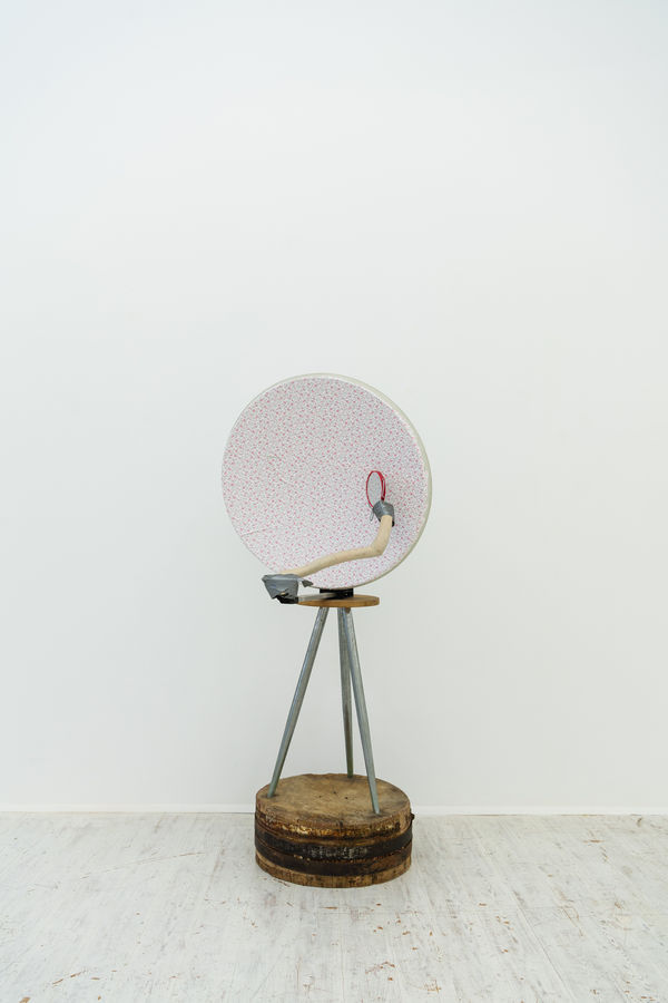 2022 Jimmie Durham Thomas Brambilla Installation View 6