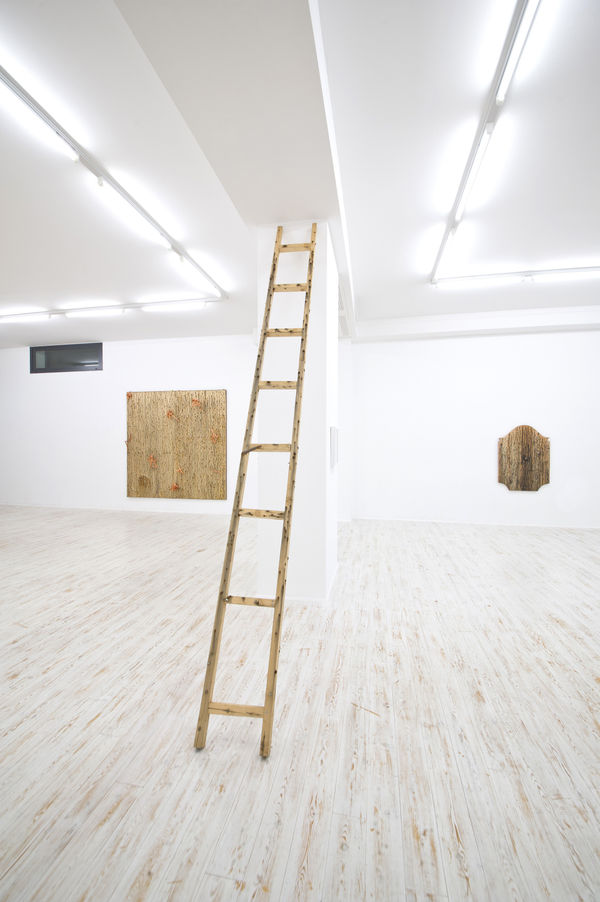 2013 Grayson Revoir Thomas Brambilla Installation View 8