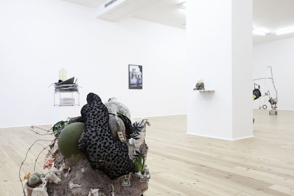 2011 My Beautiful Mongo Thomas Brambilla Installation View 10