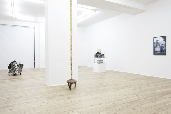 2011 My Beautiful Mongo Thomas Brambilla Installation View 12