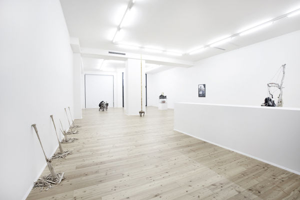 2011 My Beautiful Mongo Thomas Brambilla Installation View 13