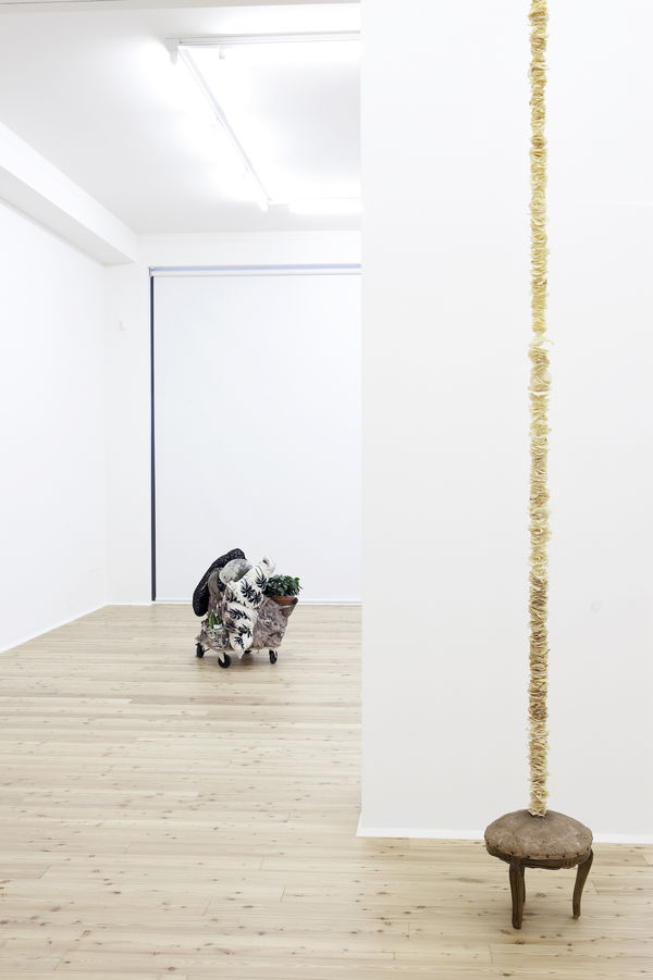 2011 My Beautiful Mongo Thomas Brambilla Installation View 7
