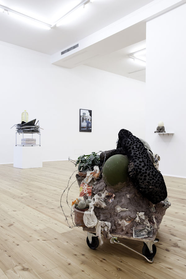 2011 My Beautiful Mongo Thomas Brambilla Installation View 9