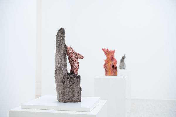 Matteozanardi Dsc 7503