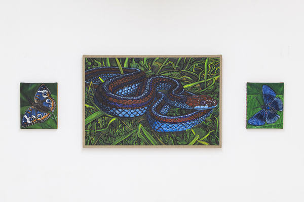 Matteo Callegari - Life Force