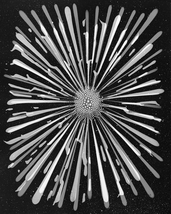 Taiyō, Ferrofluid Photogram on 8x10" Sheet of Film, 2013