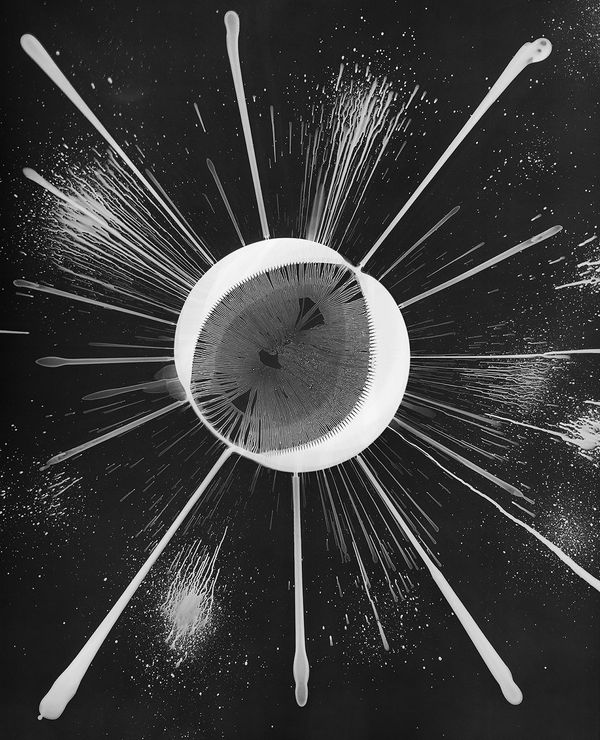 Taiyō, Ferrofluid Photogram on 8x10" Sheet of Film, 2013