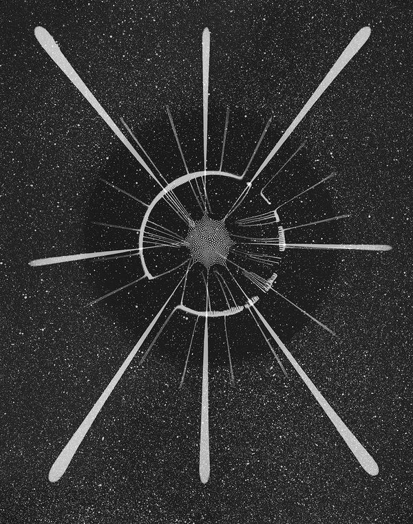 Taiyō, Ferrofluid Photogram on 8x10" Sheet of Film, 2013