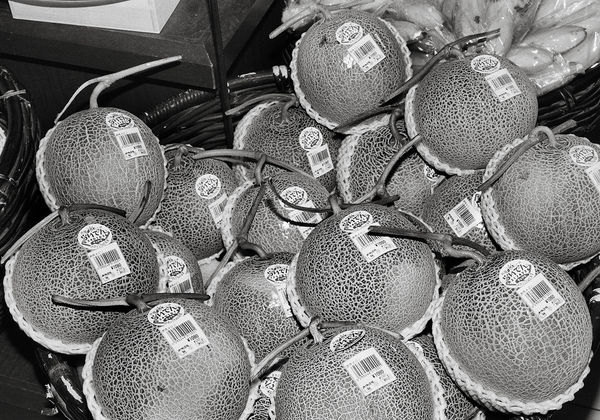 Tokyo Station, Tokyo, Japan, 2023 Selenium Toned Silver Gelatin Print, 16x20" Edition of Three
