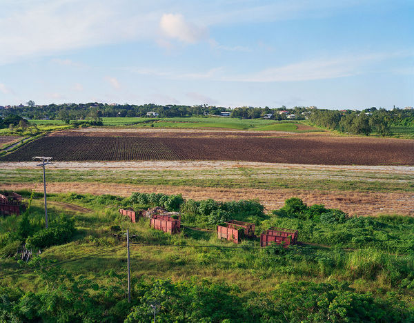 View from Water Tower, Brighton Farm, St. George, Barbados, 2006 Archival Pigment Print on Moab Entrada Rag, 17x21" Edition of Three