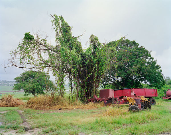 Equipment Storage, Brighton Farm, St. George, Barbados, 2004 Archival Pigment Print on Moab Entrada Rag, 17x21" Edition of Three
