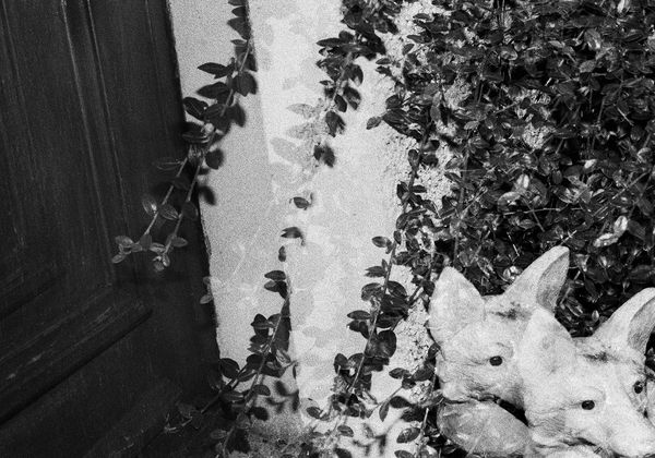 Untitled, Perth, Scotland, 2013 Archival Pigment Print on Hahnemuhle Photo Rag , 17x21" Edition of Three