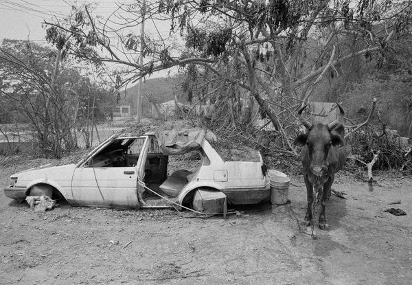 Untitled, Salem, Montserrat, 2004 Archival Pigment Print on Hahnemuhle Photo Rag, 17x21" Edition of Three