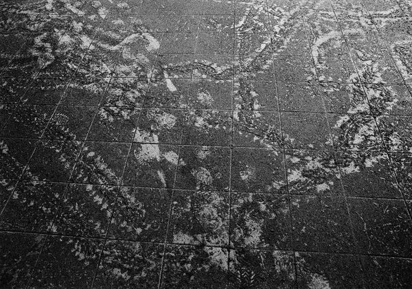 Animal Tracks in Ash on Kitchen Floor, Fox's Bay, Montserrat, 2004 Archival Pigment Print on Hahnemuhle Photo Rag, 17x21" Edition of Three