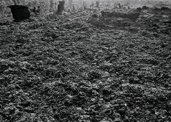 1974 Lava Flow and Lava Trees, East Rift Zone, Hawai'i, 2007 Archival Pigment Print on Hahnemuhle Photo Rag, 17x21" Edition of Three