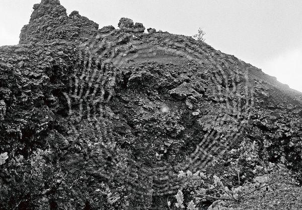 Spider Web, East Rift-Zone, Hawai'i, 2005 Archival Pigment Print on Hahnemuhle Photo Rag, 17x21" Edition of Three