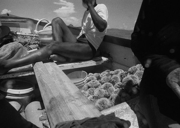 Sea Urchin Divers, Cobblers Reef, Barbados, 2004 Archival Pigment Print on Hahnemuhle Photo Rag, 17x21" Edition of Three