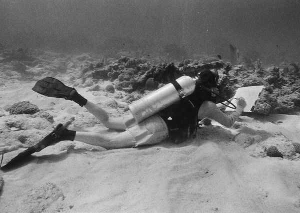 Scientific Illustrator (Mary) Drawing Underwater, Carrie Bow Cay, Belize, 2002 Archival Pigment Print on Hahnemuhle Photo Rag, 17x21" Edition of Three