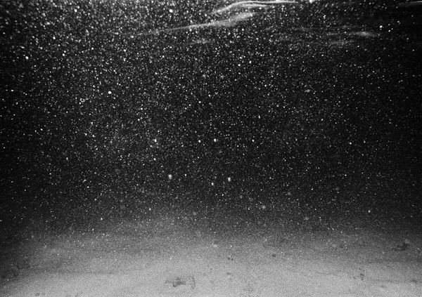 Night Dive, Carrie Bow Cay, Belize, 2002 Archival Pigment Print on Hahnemuhle Photo Rag, 17x21" Edition of Three