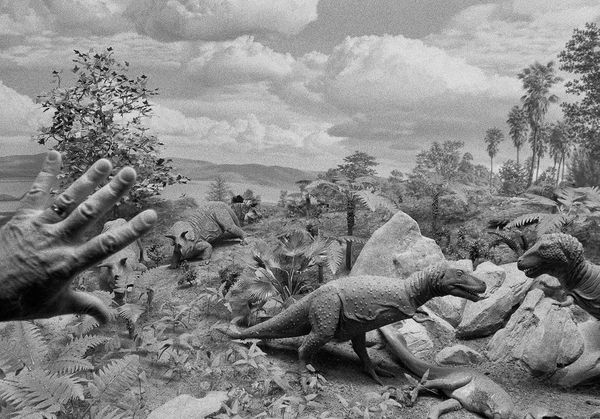 Dad's Hand, Smithsonian Museum of Natural History, Washington D.C., 2000 Archival Pigment Print on Hahnemuhle Photo Rag, 17x21" Edition of Three